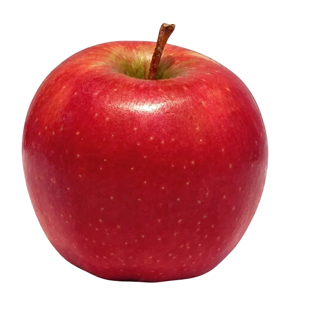 Royal Gala Apple – 18 kg Wholesale Pack