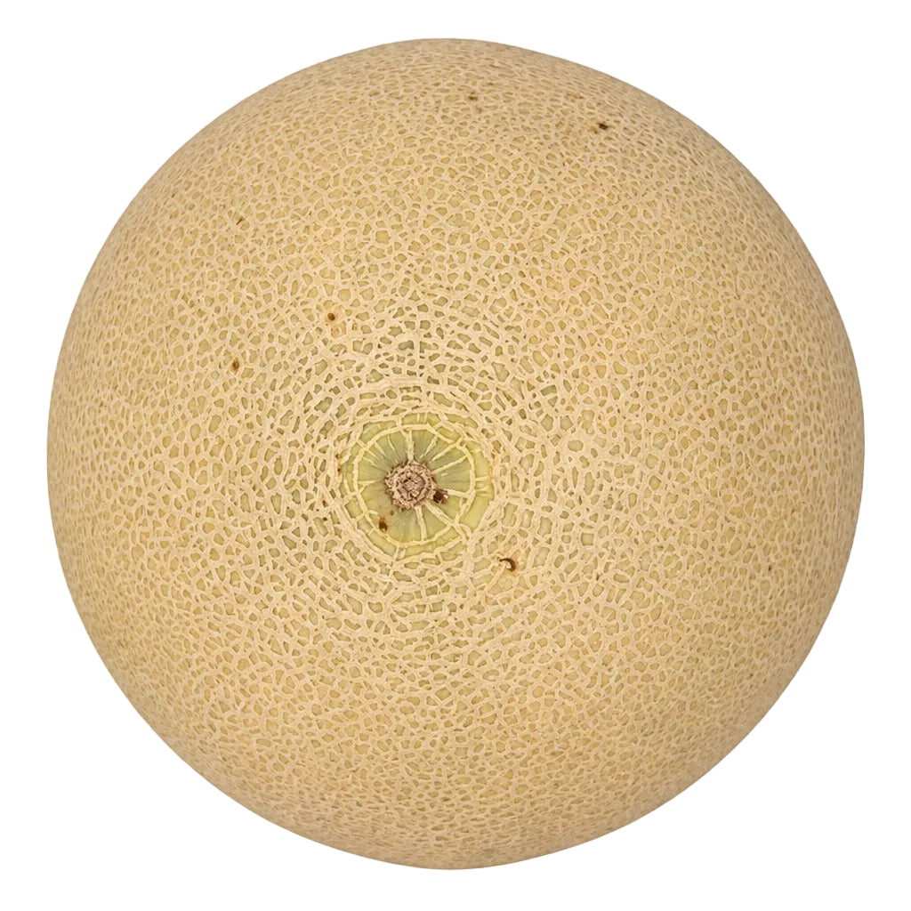 Muskmelon – 10 kg Wholesale Pack