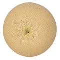 Muskmelon – 10 kg Wholesale Pack